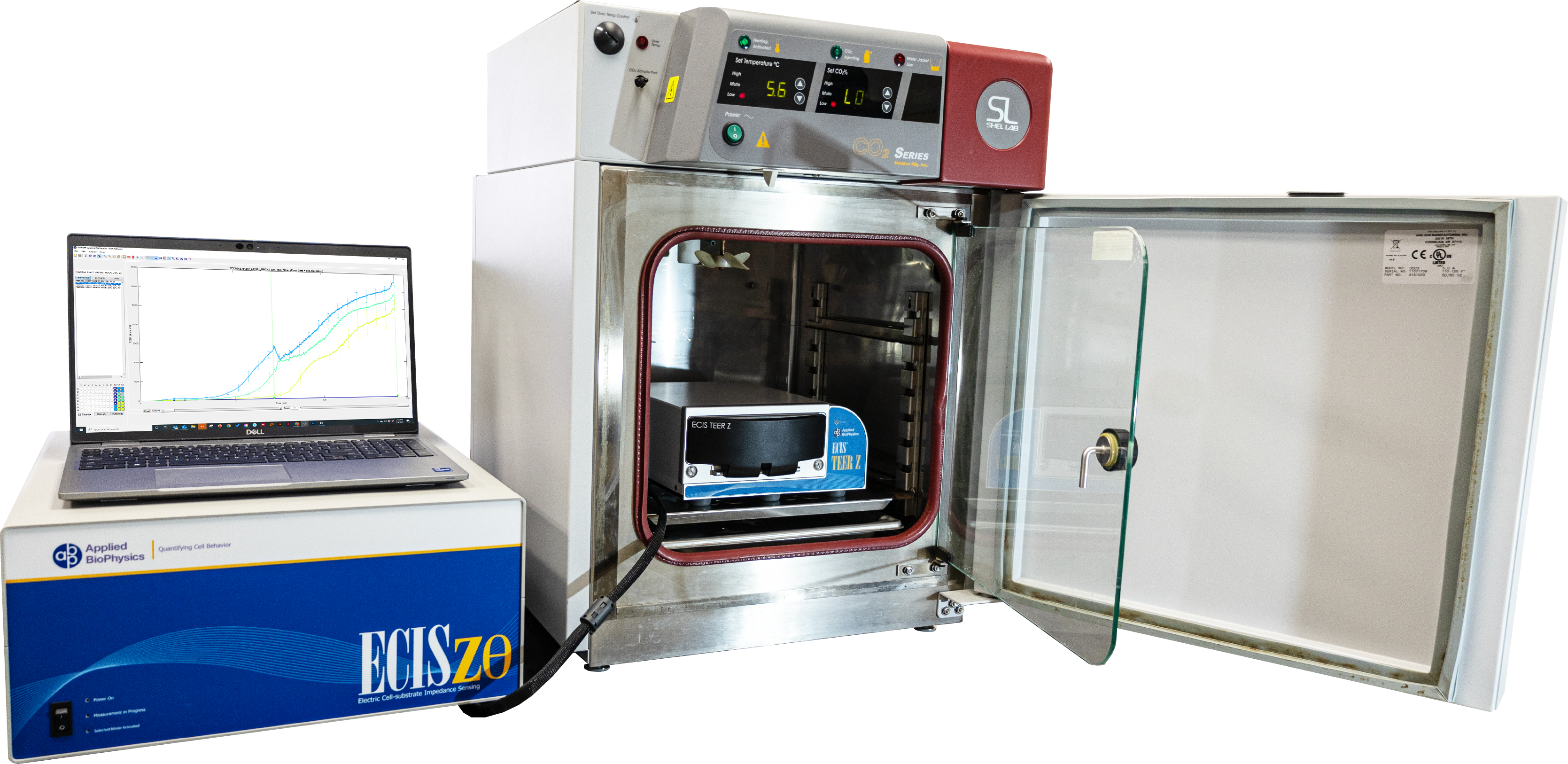 請(qǐng)?zhí)顚憳?biāo)題